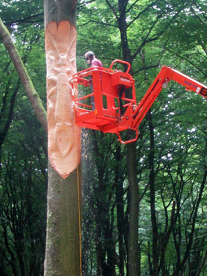 Auftragsarbeit auf Insekten Bäume im National Park
