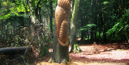 Riesen-Insekten in Bäume gemeißelt im Wald für National Park De Veluwe