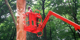 in action with chainsaw on aerial platform