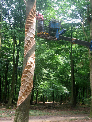 commissioned work on insect trees in the National Park