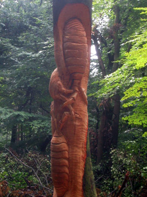 枯树上雕刻巨型昆虫